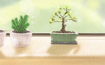 2025年7月15日农历六月二十一适合盖房吗
