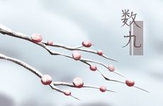婚姻顺利八字特征解析 女命婚姻顺利的八字