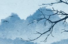 2024立冬吃什么食物比较养生 2024立冬节气养生食物