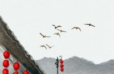 什么属相养金鱼添运