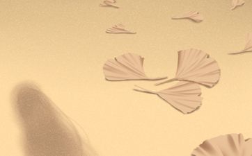 2024年10份适合鸡结婚的吉日 2024年黄道吉日一览表