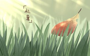 领证日期2024 啥时候领结婚证好日子2024年什么时候领结婚证好