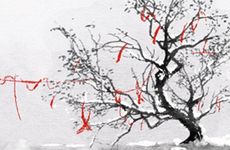 2024年11月出殡黄道吉日 2024年11月几号出殡好