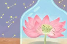 婚前婚后不变样 初心永不变的生肖