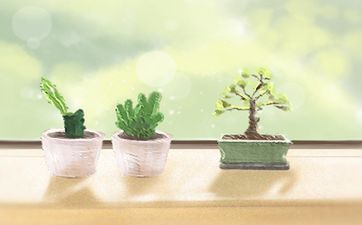 今日是修坟最吉利日子吗 2025年7月31日修坟宜忌
