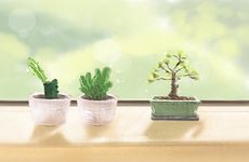 属虎人婚配啥属相最好