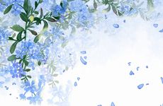 我为什么总是招烂桃花
