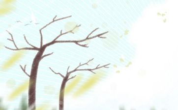 2025年7月28日农历闰六月初四可以扫舍宇吗 今日扫舍宇好不好
