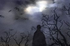 几楼的房子最好？买房子四个楼层不能选哪几层 说有孔
